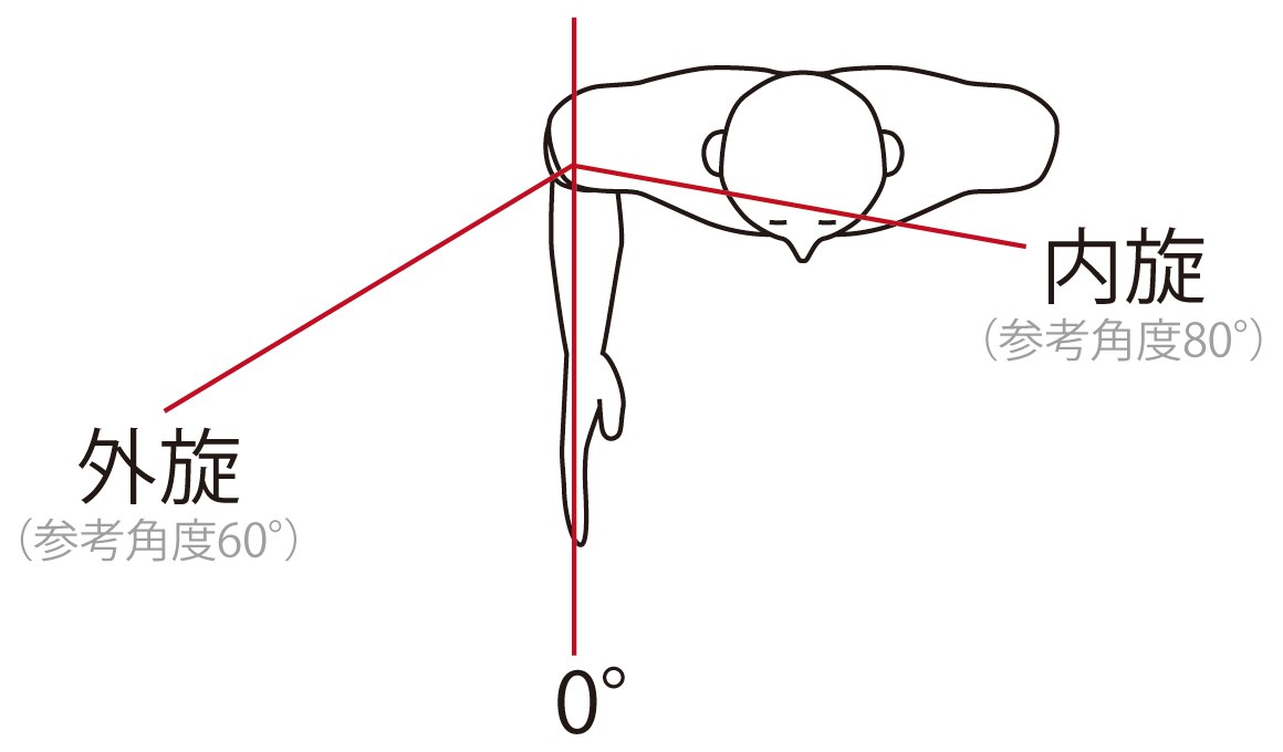 肩の外旋と内旋のイラスト