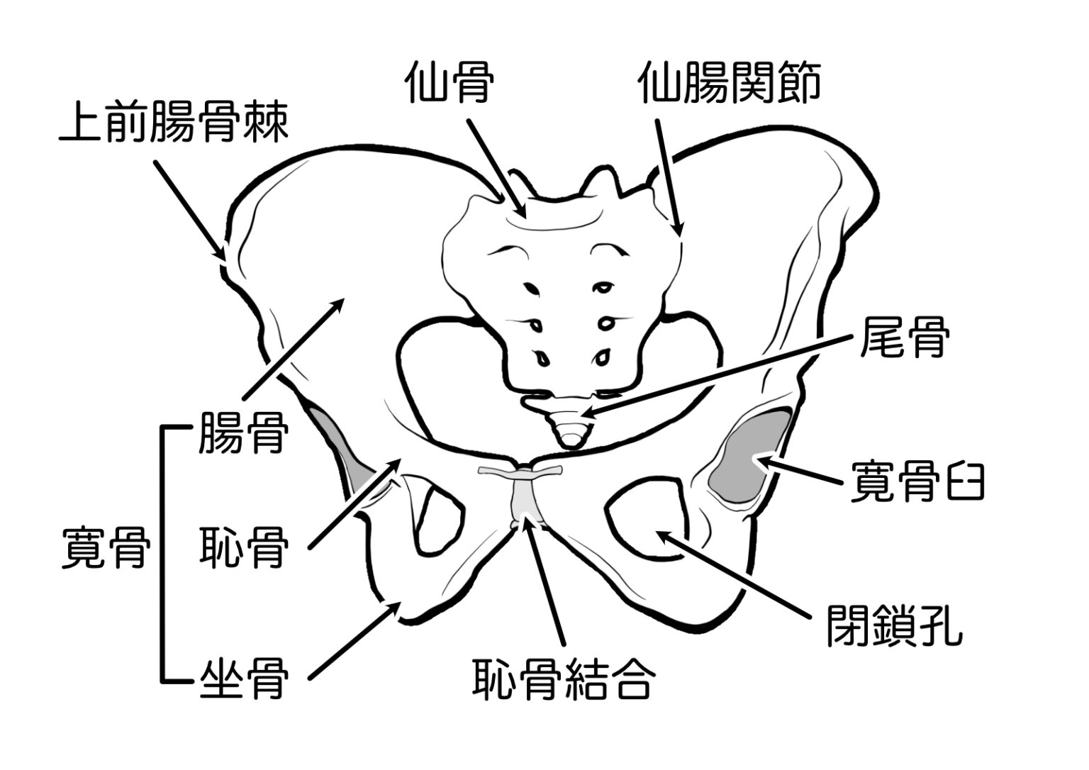 「産後矯正」をしたい方へ知ってほしい事 整体院ゆいまーる