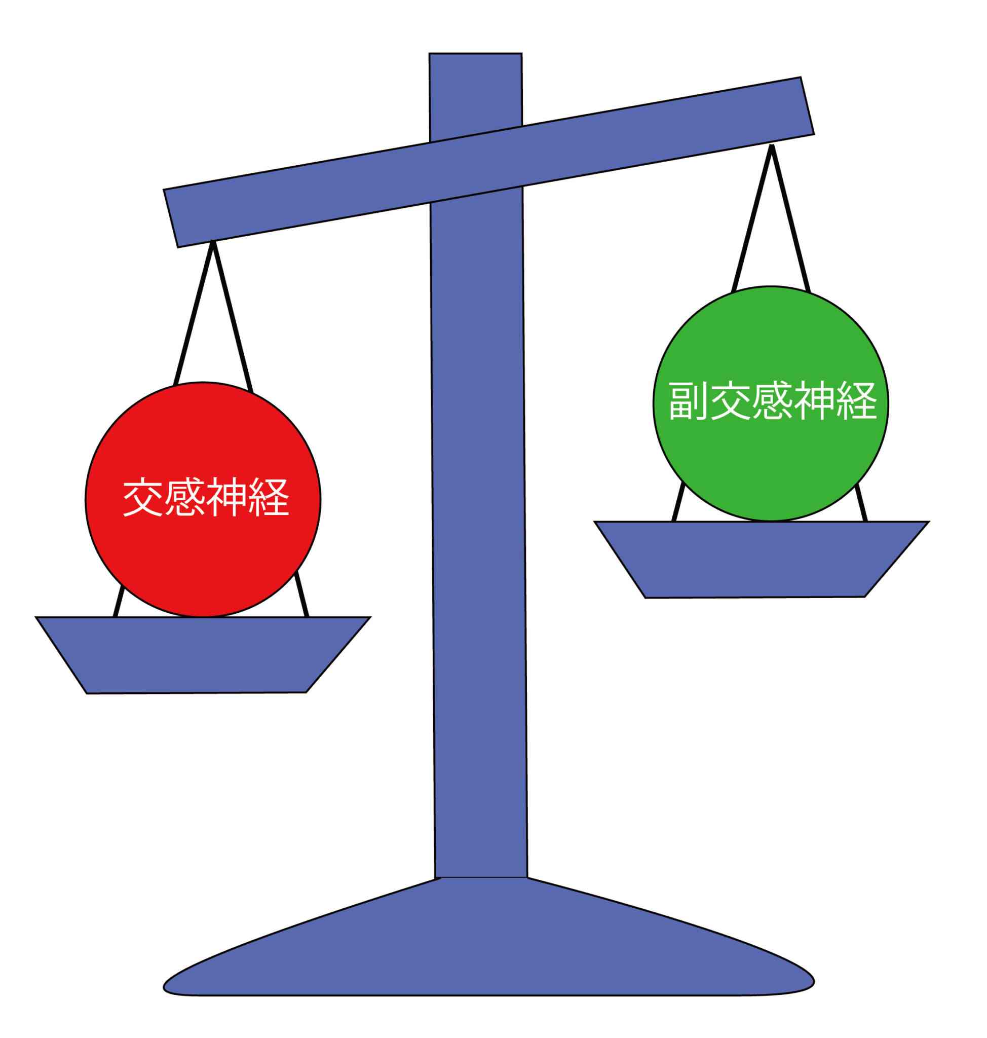 自律神経のバランスのイラスト