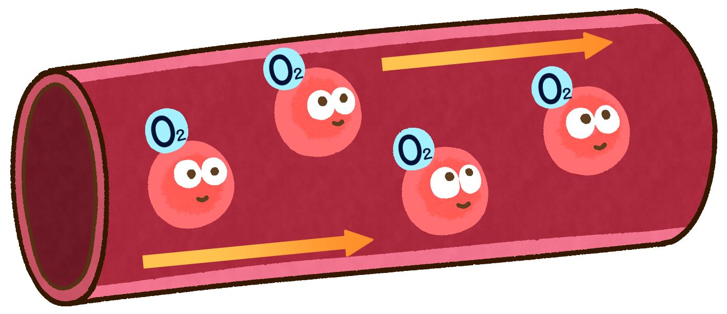 結果を流れるO2(酸素)のイラスト